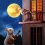 Picture of MOONLIGHT SERENADE