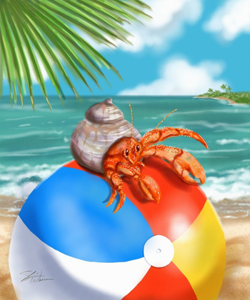 Picture of BEACH FRIENDS - HERMIT CRAB