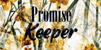 Picture of PROMISE KEEPER