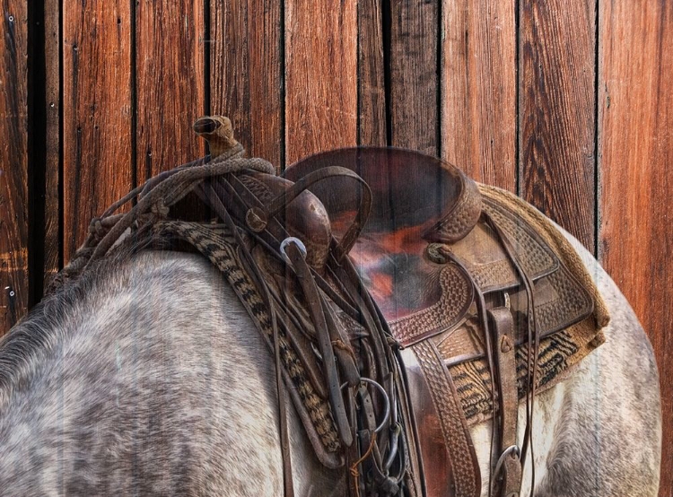 Picture of HORSE ON THE RANCH