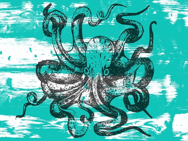 Picture of OCTOPUS