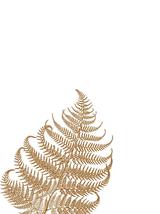 Picture of GOLD FERN 3