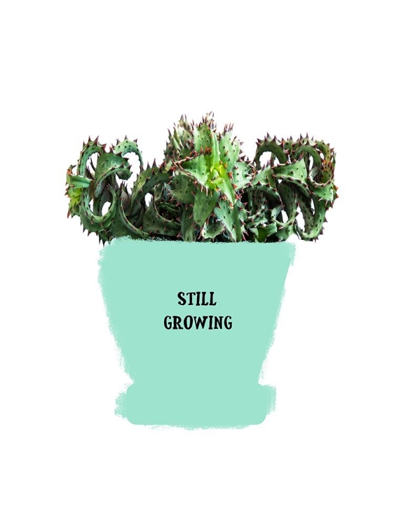 Picture of GROWTH