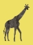 Picture of GIRAFFE