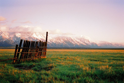 Picture of FENCE IN JACKSON