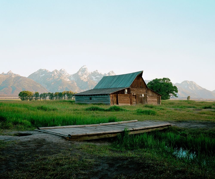 Picture of WYOMING SUMMER