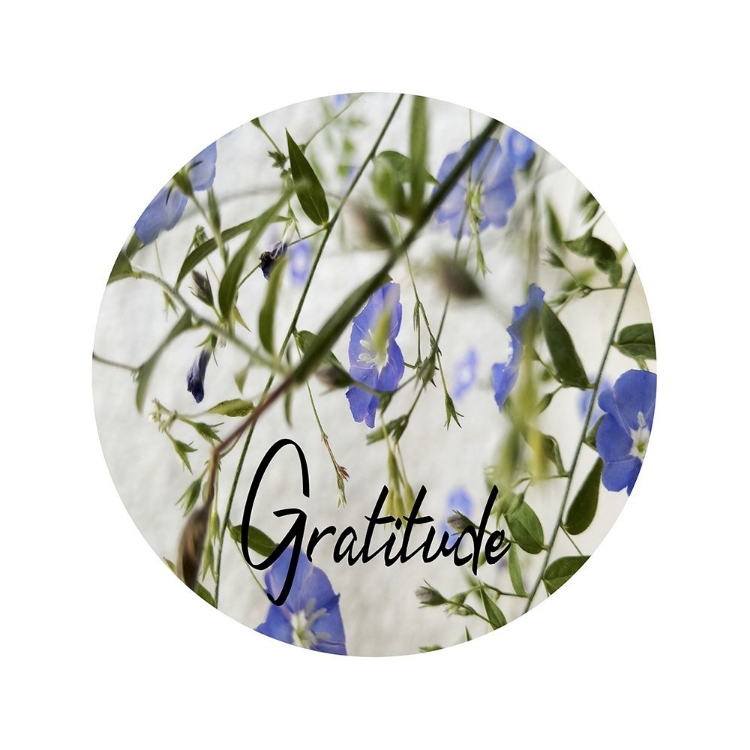 Picture of GRATITUDE