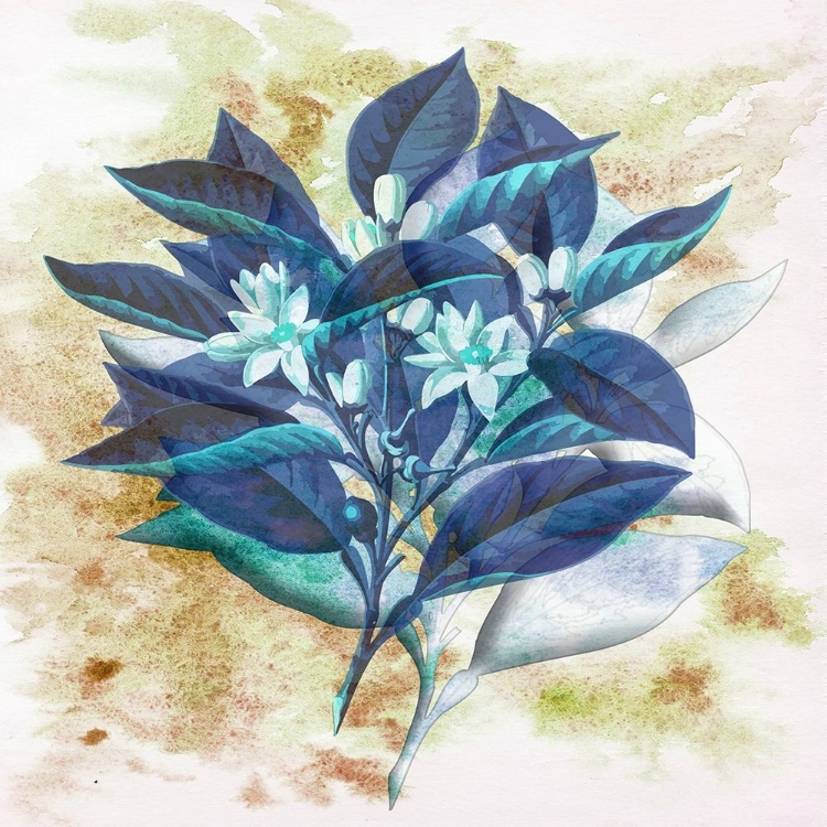 Picture of WATERCOLOR FLOWERS