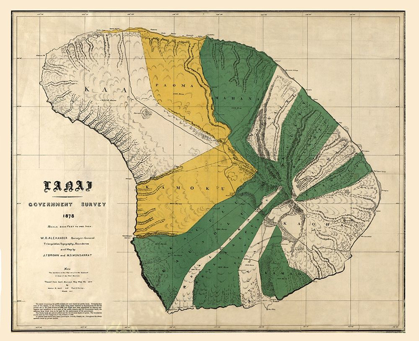 Picture of LANAI COUNTY HAWAII - BROWN 1878 