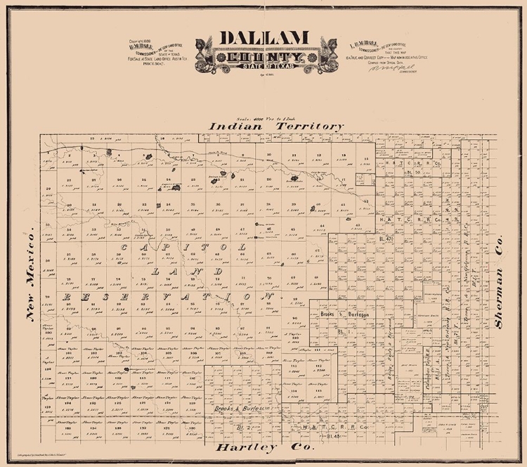 Picture of DALLAM COUNTY TEXAS - HALL 1888 