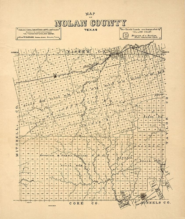 Picture of NOLAN COUNTY TEXAS -1890