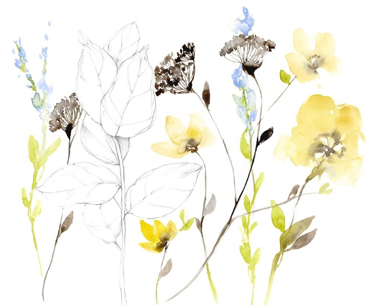 Picture of WILD FLOWERS AND CONTOUR I