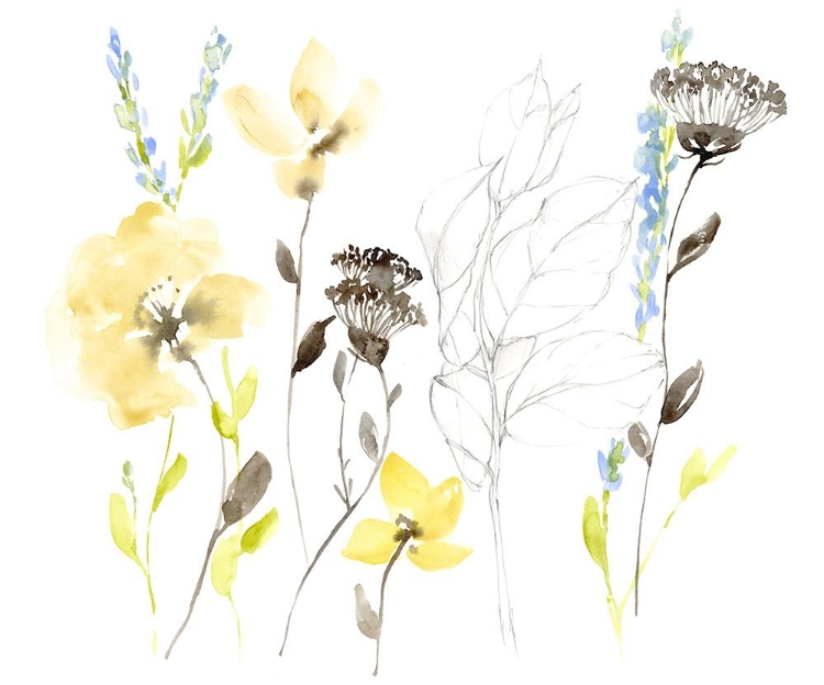 Picture of WILD FLOWERS AND CONTOUR II