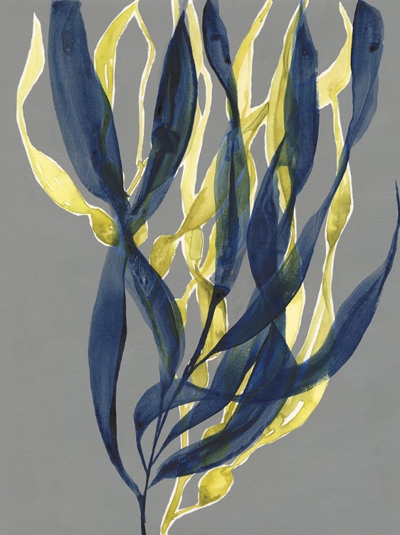 Picture of KELP EMBRACE I