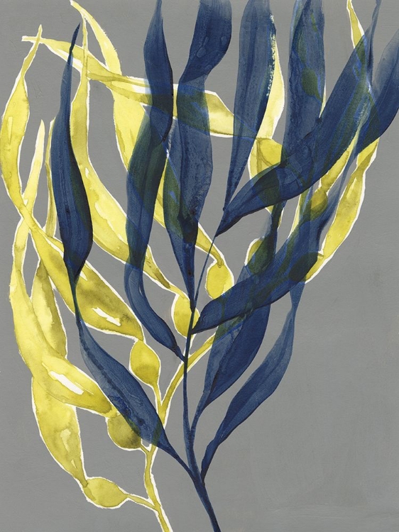 Picture of KELP EMBRACE II