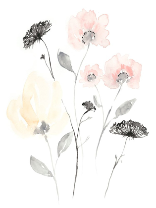 Picture of BLUSH AND BLACK WILDFLOWERS II