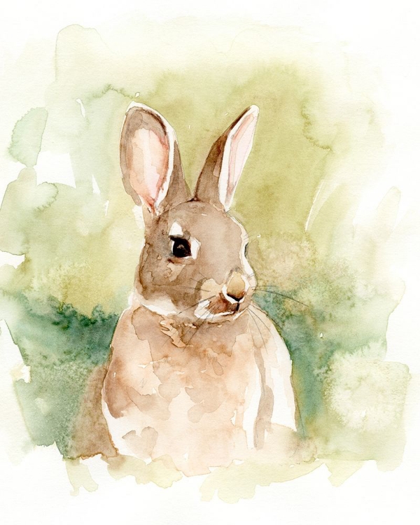 Picture of FIELD BUNNY I