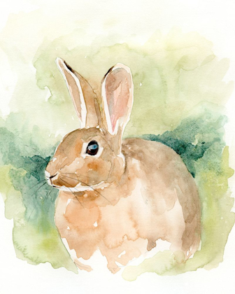 Picture of FIELD BUNNY II