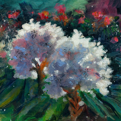 Picture of RHODODENDRON PORTRAIT I