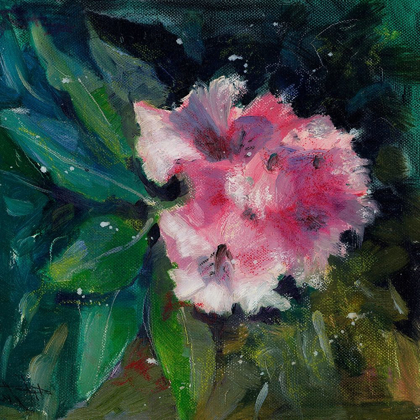 Picture of RHODODENDRON PORTRAIT II