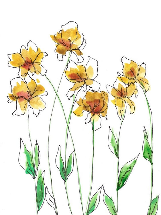 Picture of AMBER TULIPS I