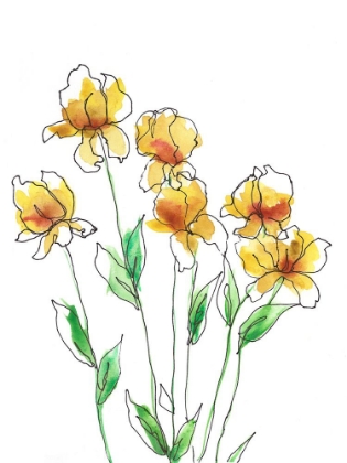 Picture of AMBER TULIPS II