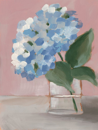 Picture of SINGLE HYDRANGEA I