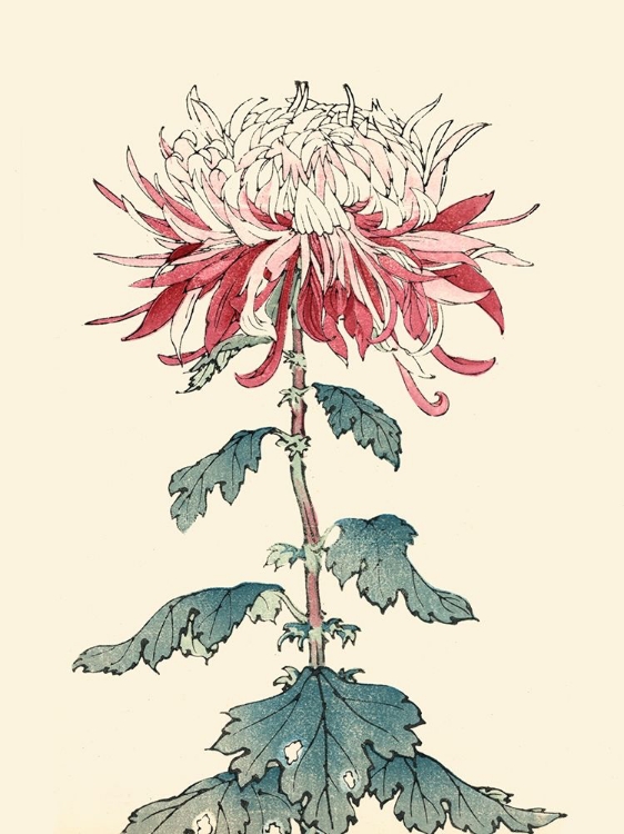 Picture of CHRYSANTHEMUM WOODBLOCK III