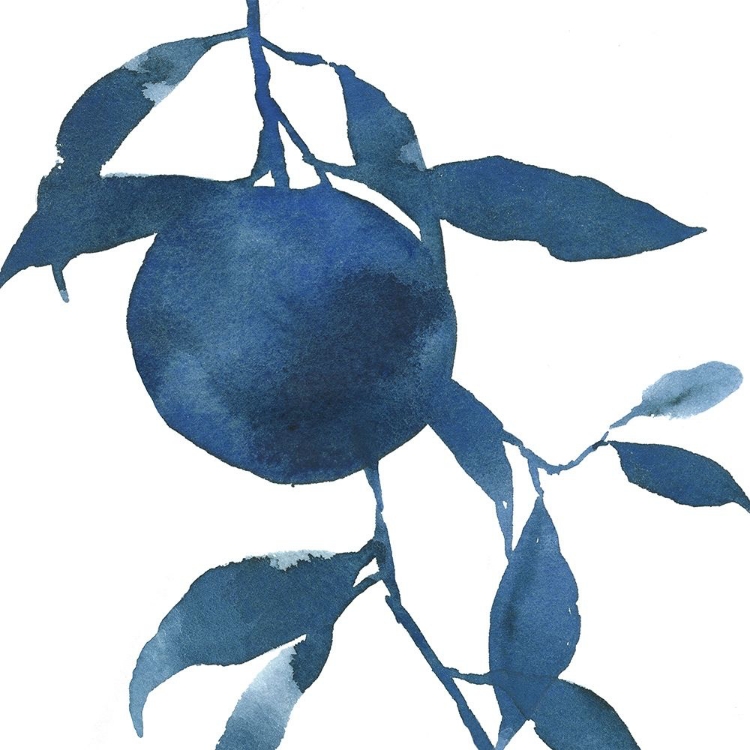 Picture of INDIGO ORANGES II