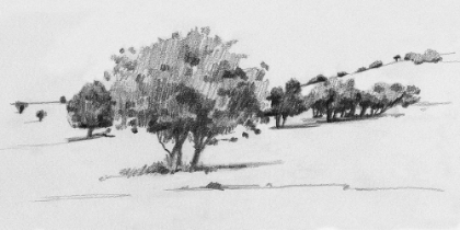 Picture of TREELINE SKETCH I