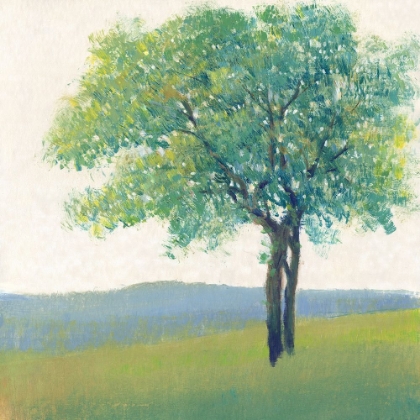 Picture of SOLITARY TREE II