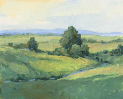 Picture of ROLLING GREEN HILLS I