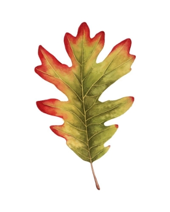 Picture of FALL LEAF STUDY II