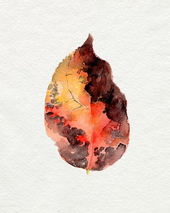 Picture of WATERCOLOR AUTUMN LEAF I