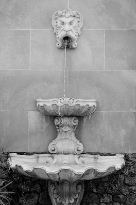 Picture of BLACK AND WHITE FOUNTAINS I