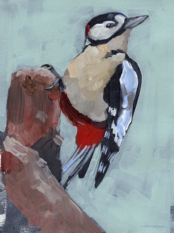 Picture of WOODPECKER PAINTSTROKES II