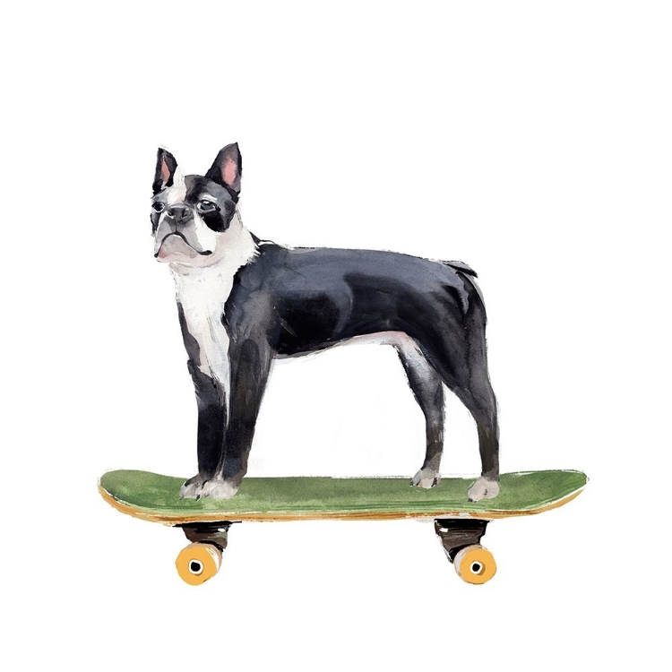 Picture of PUPS ON WHEELS IV