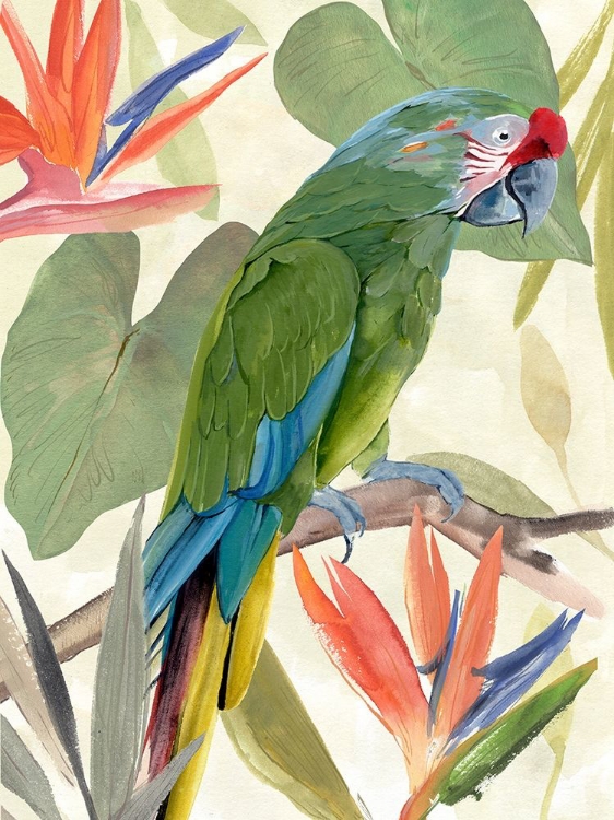 Picture of TROPICAL PARROT COMPOSITION I