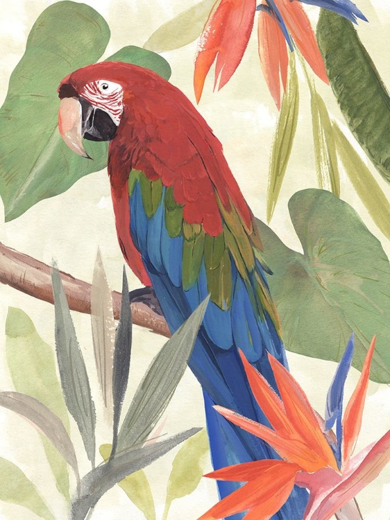 Picture of TROPICAL PARROT COMPOSITION III