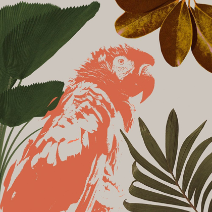 Picture of GRAPHIC TROPICAL BIRD I