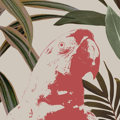 Picture of GRAPHIC TROPICAL BIRD IV