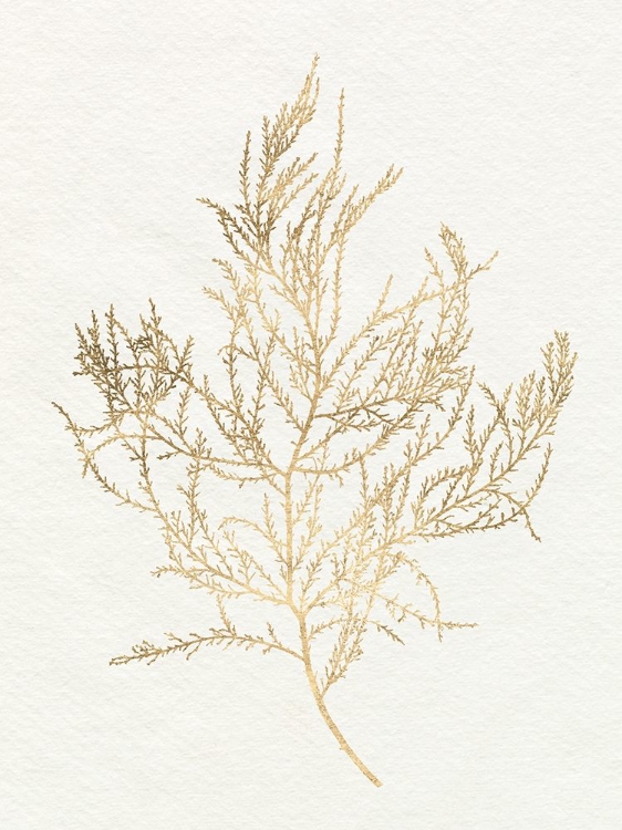 Picture of GILDED ALGAE III