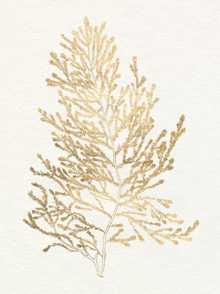 Picture of GILDED ALGAE IV