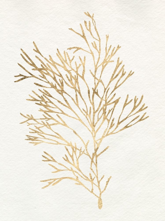 Picture of GILDED ALGAE VII