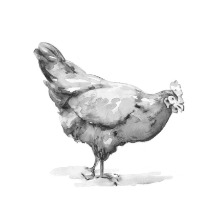 Picture of BARN FOWL II