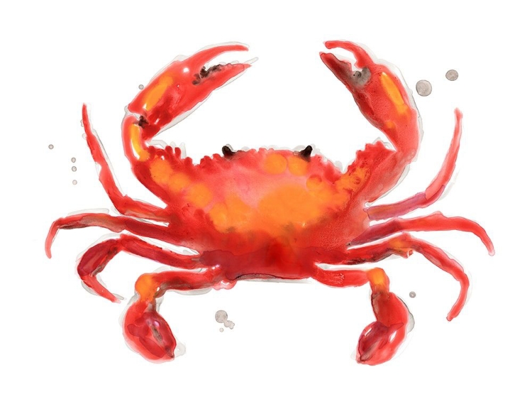 Picture of CRAB CAMEO I