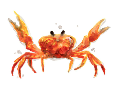 Picture of CRAB CAMEO II