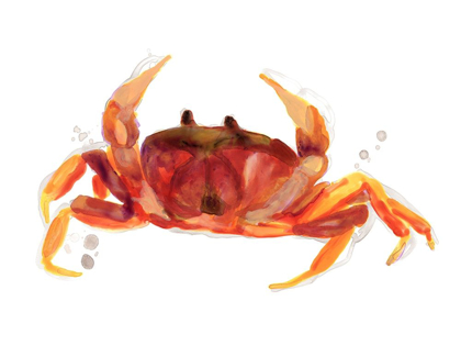 Picture of CRAB CAMEO III