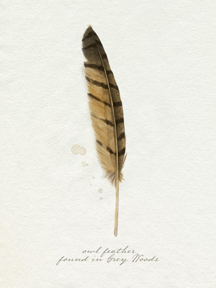 Picture of FOUND FEATHER III