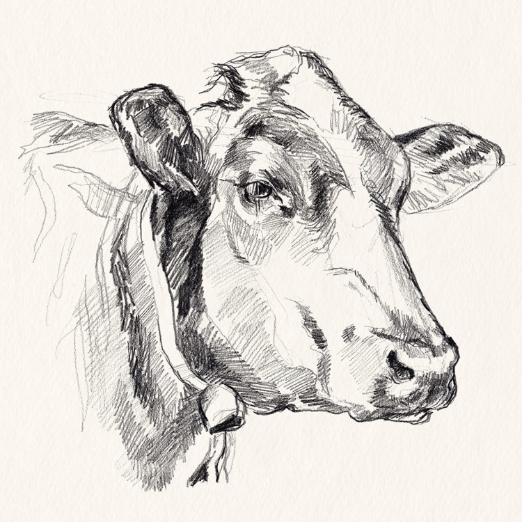 Picture of HOLSTEIN PORTRAIT SKETCH I